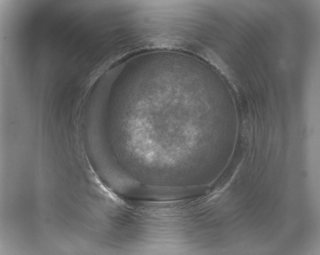 X0000070420577200606161440