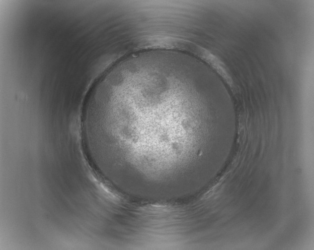 X0000070420578200606161440