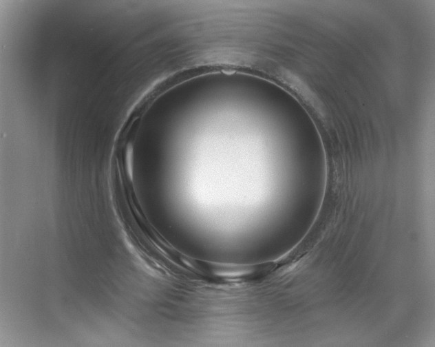 X0000070420580200606161440