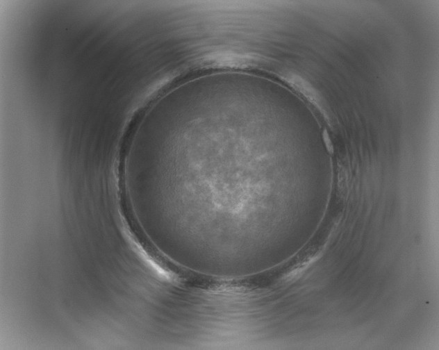 X0000070420581200606161440