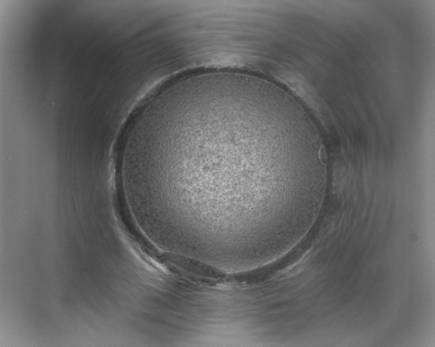 X0000070420584200606161440