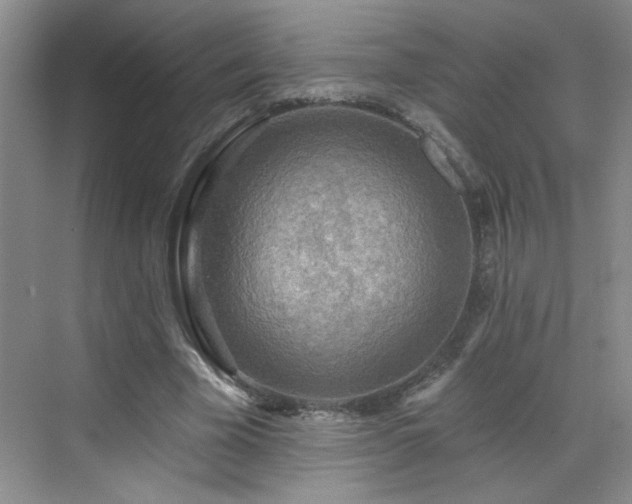 X0000070420585200606161440