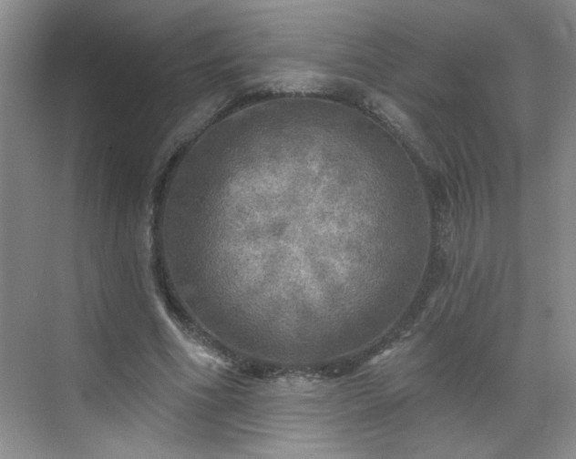 X0000070420586200606161440