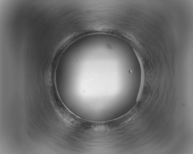 X0000070420587200606161440