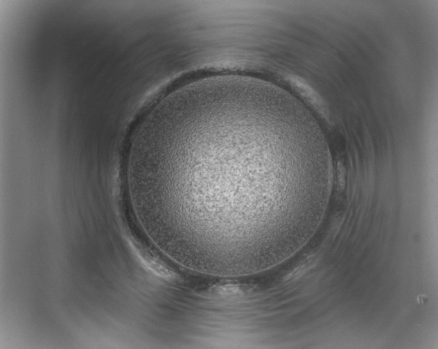 X0000070420588200606161440