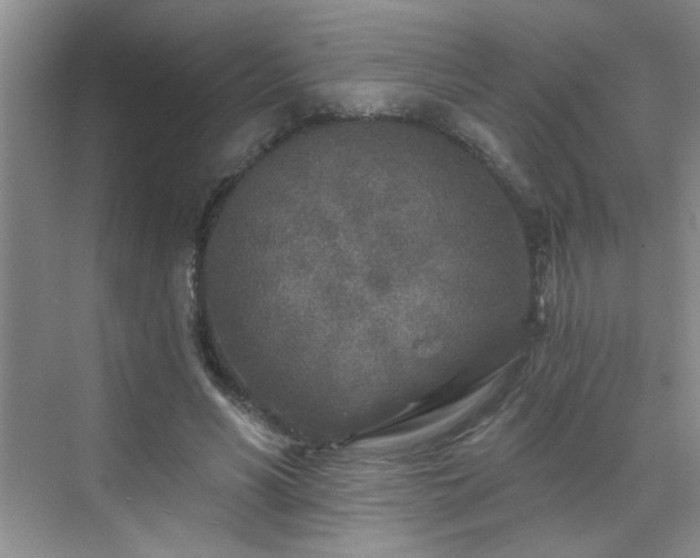 X0000070420590200606161440