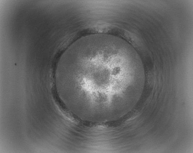 X0000070420594200606161440