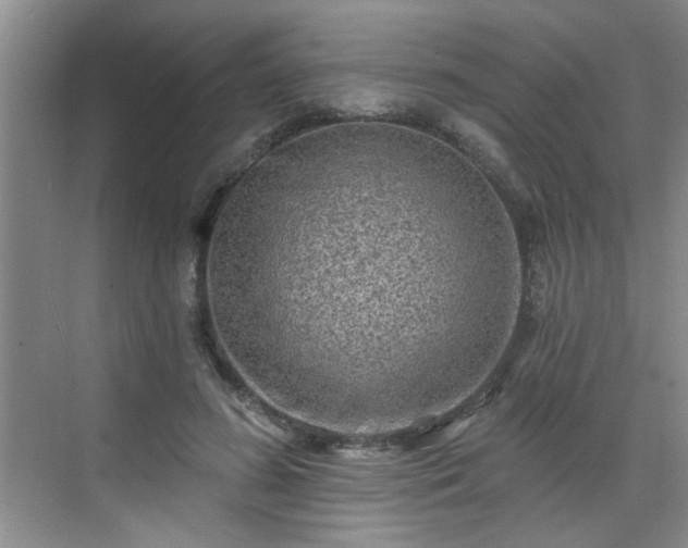 X0000070420596200606161440