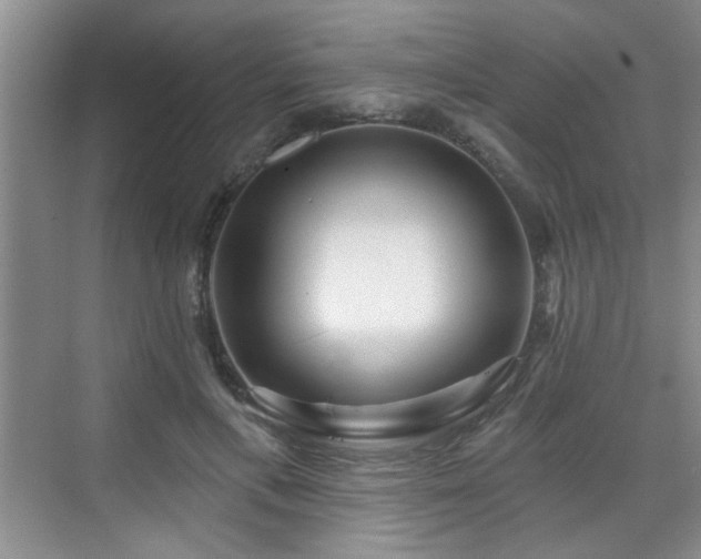 X0000070420597200606161440