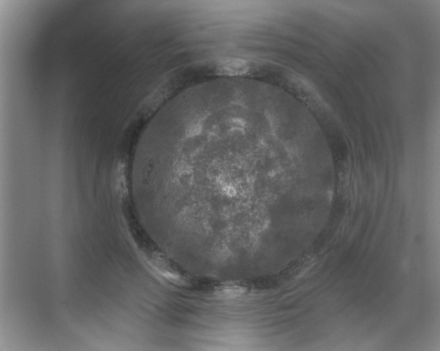 X0000070420598200606161440