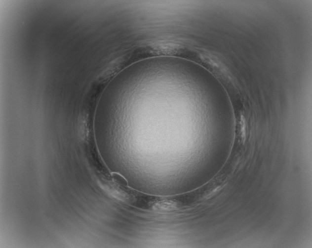 X0000070420599200606161440