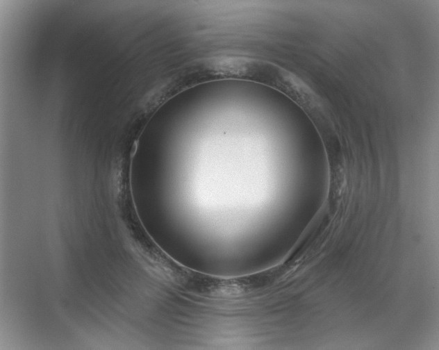 X0000070420600200606161440