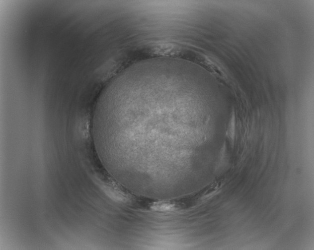 X0000070420602200606161440