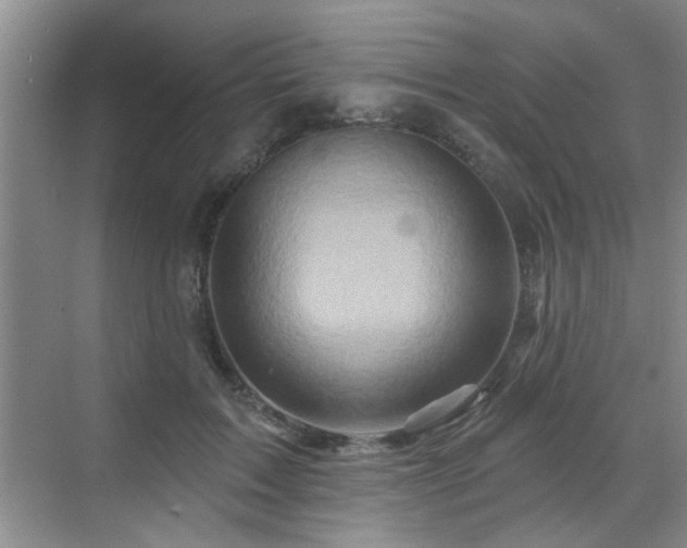 X0000070420603200606161440