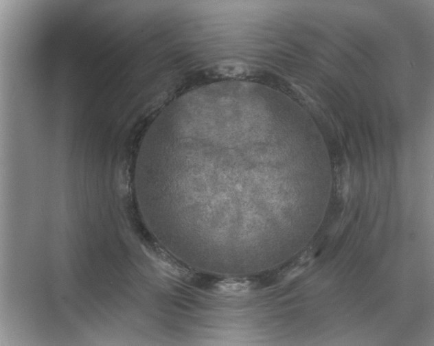 X0000070420606200606161440