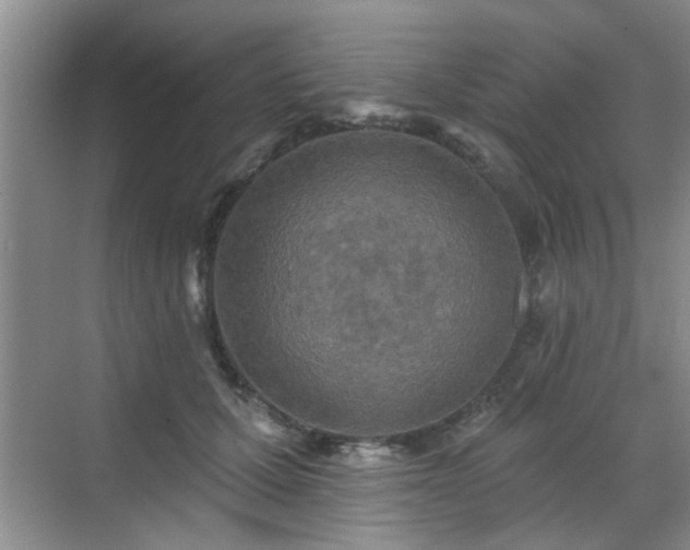 X0000070420607200606161440