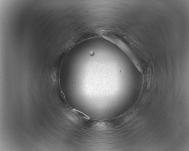 X0000070420611200606161440