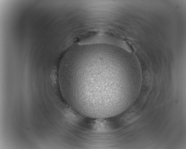 X0000070420612200606161440