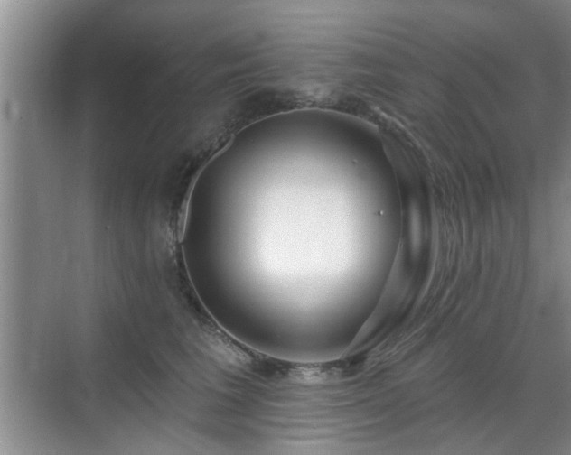 X0000070420613200606161440