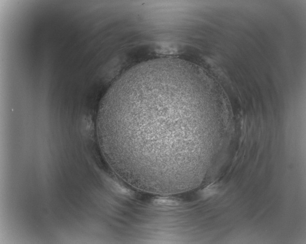 X0000070420614200606161440