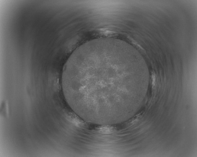 X0000070420615200606161440