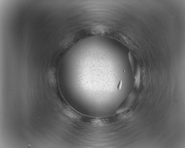 X0000070420616200606161440