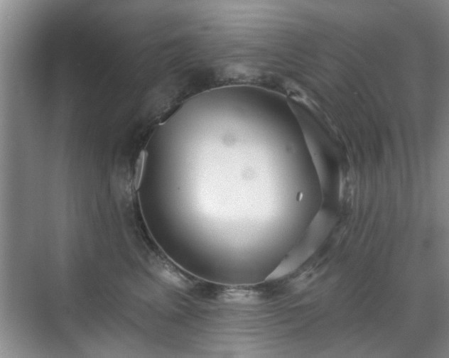 X0000070420617200606161440