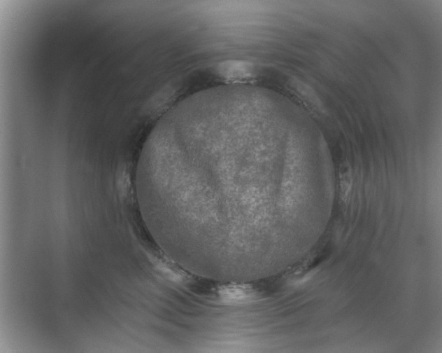 X0000070420618200606161439