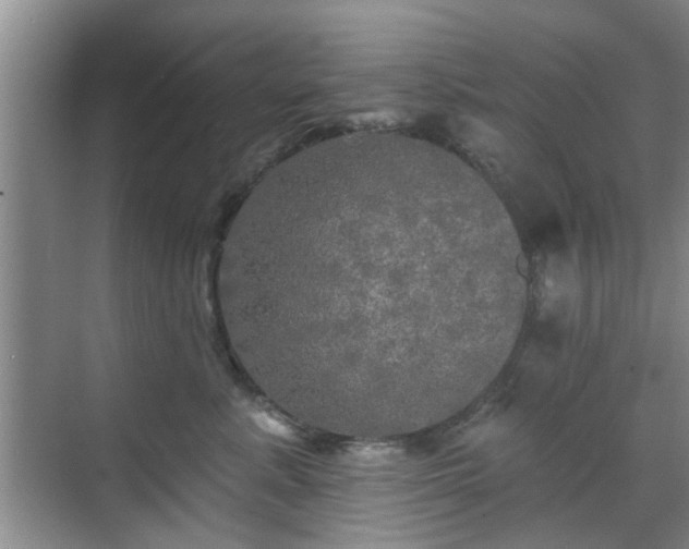 X0000070420619200606161439