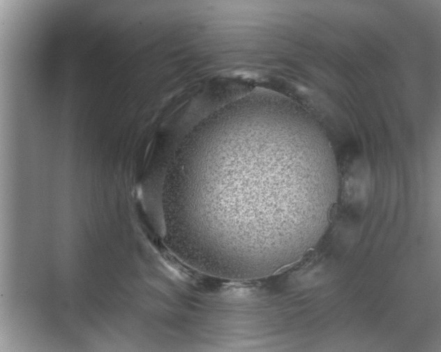 X0000070420620200606161439