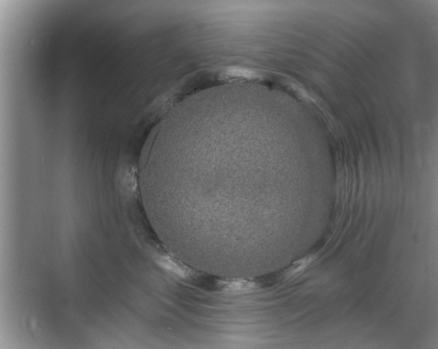 X0000070420621200606161439