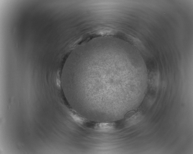 X0000070420622200606161439