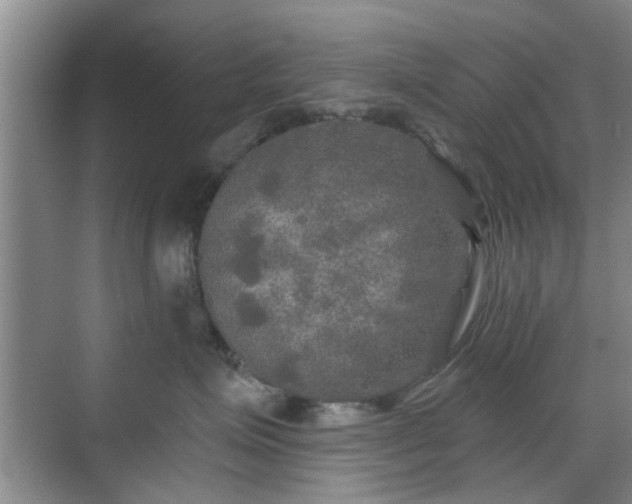 X0000070420623200606161439