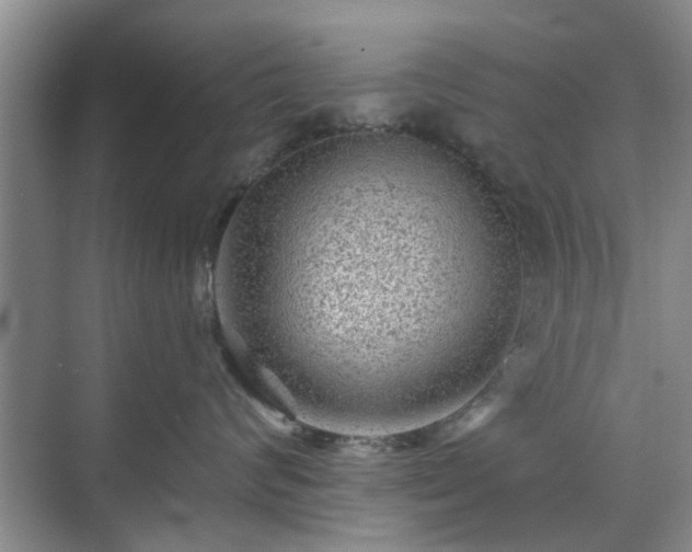 X0000070420624200606161439