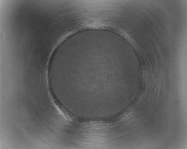 X0000070420626200606161439