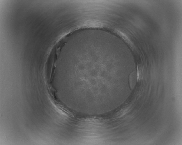 X0000070420627200606161439