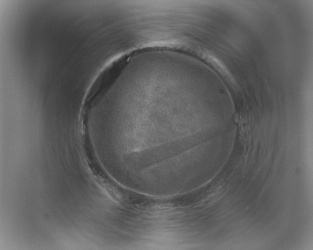 X0000070420628200606161439