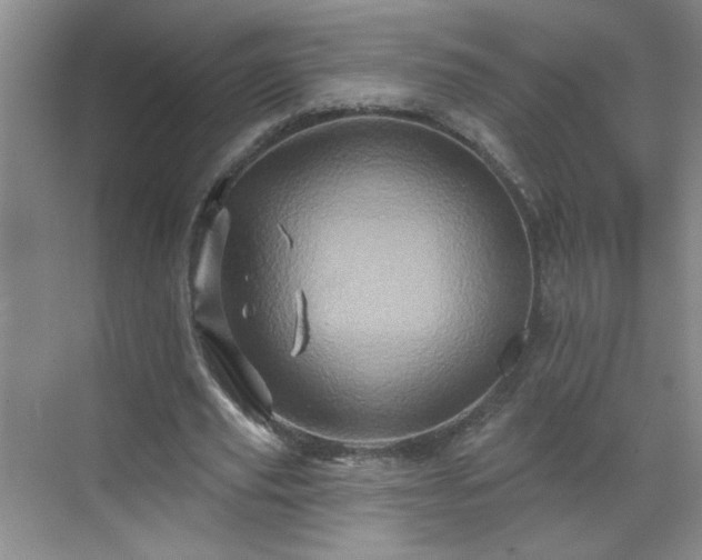 X0000070420629200606161439