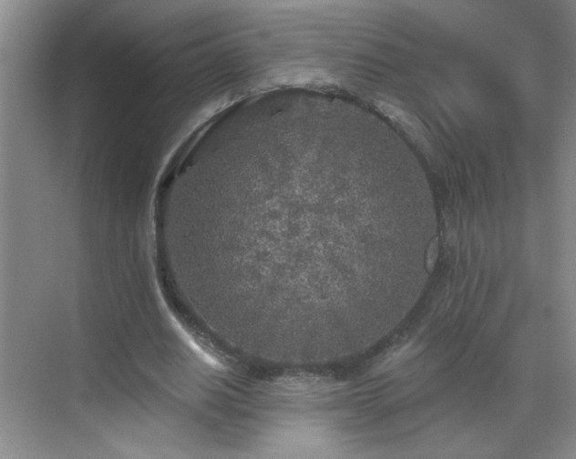 X0000070420630200606161439