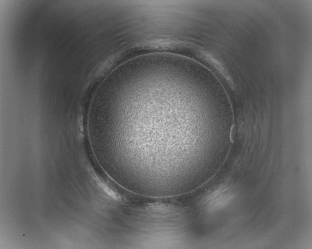 X0000070420633200606161439