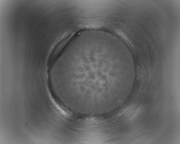 X0000070420634200606161439