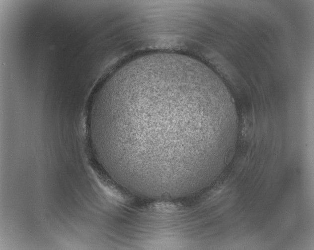 X0000070420636200606161439