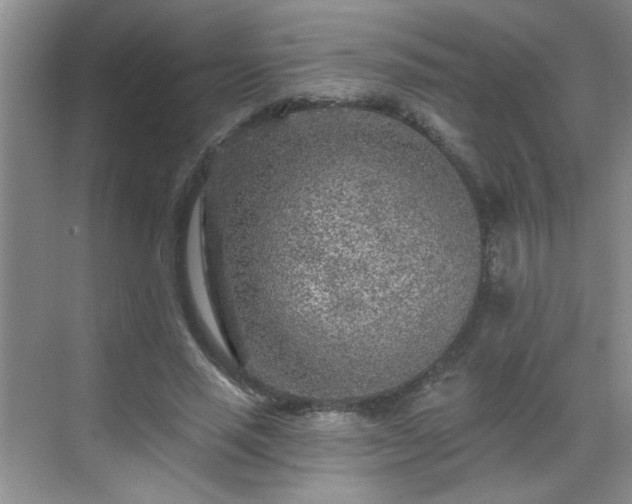 X0000070420637200606161439