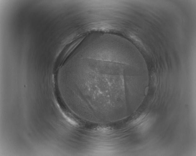 X0000070420638200606161439