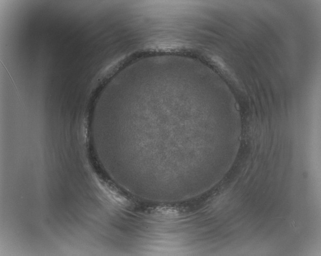 X0000070420640200606161439