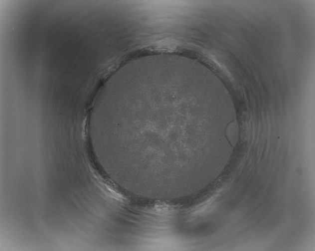 X0000070420641200606161439