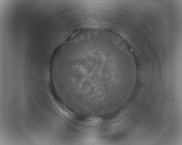 X0000070420642200606161439