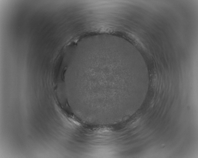 X0000070420643200606161439