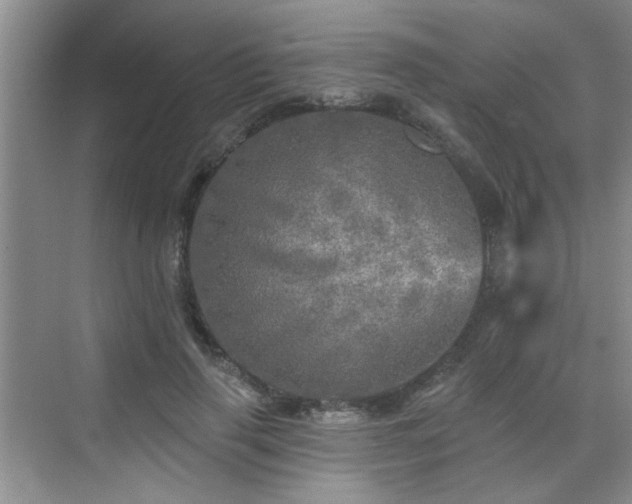 X0000070420645200606161439