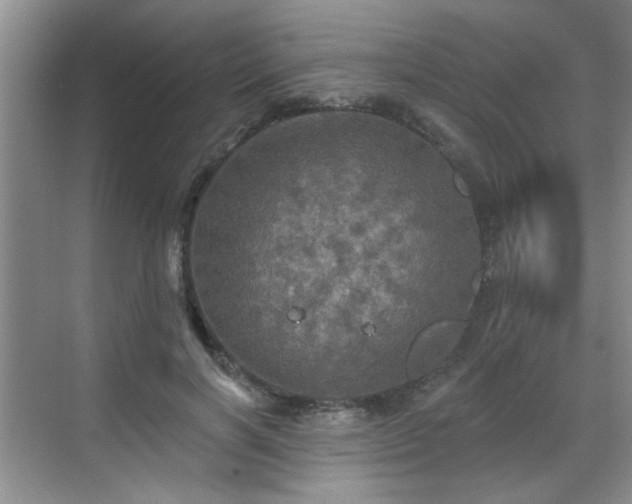 X0000070420646200606161439